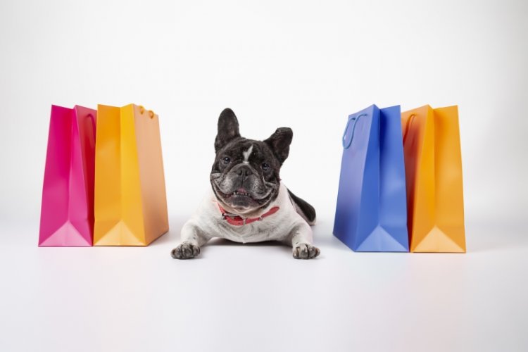 Spotting the Best Pet Store