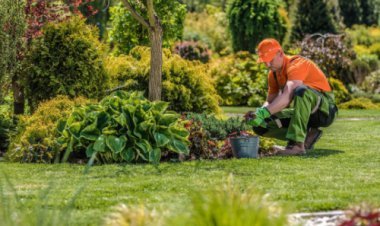 Professional Handyman Services in Sunderland